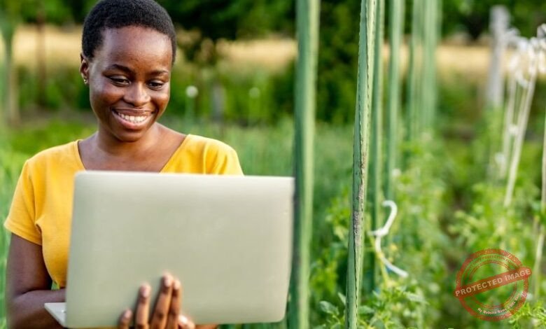 Tecnologias para o Aumento da Produtividade no Campo