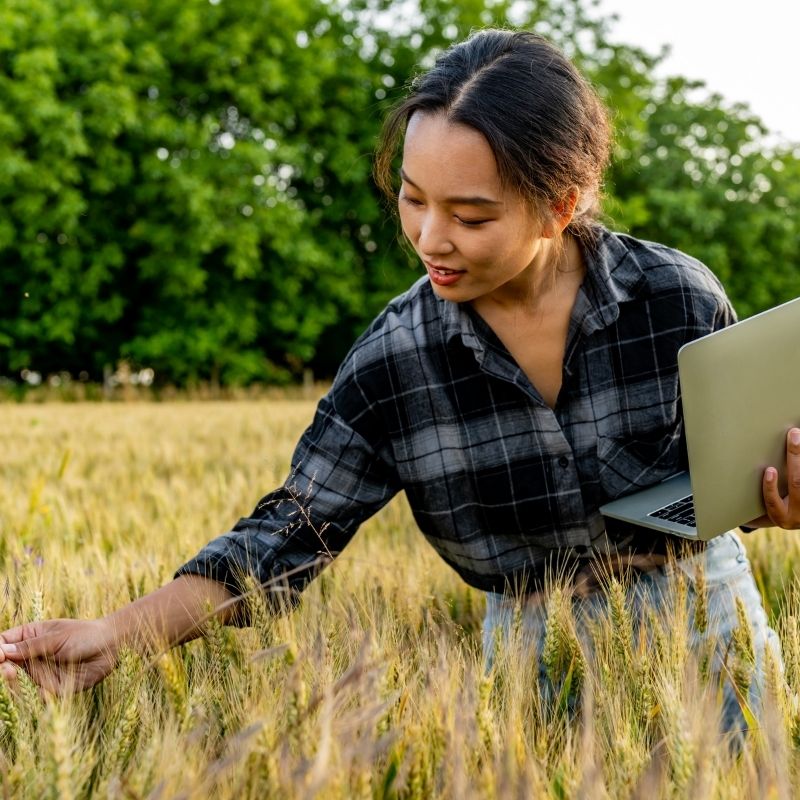 Como controlar pragas de forma sustentável?