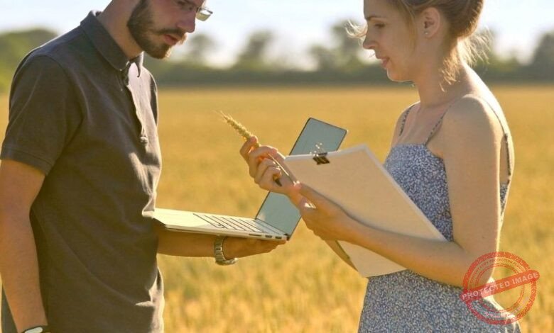 Entenda as Culturas Agrícolas no no Brasil