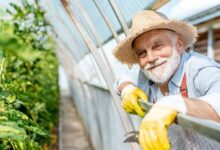 Dicionário do Mundo Agro: Termos Essenciais e seus Significados