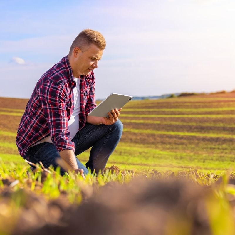 Quais culturas são mais rentáveis na minha região?