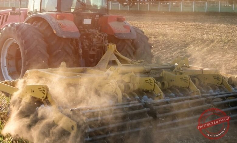 Colheitas com Menos Água: Estratégias e Tecnologias para Agricultura em Regiões Áridas