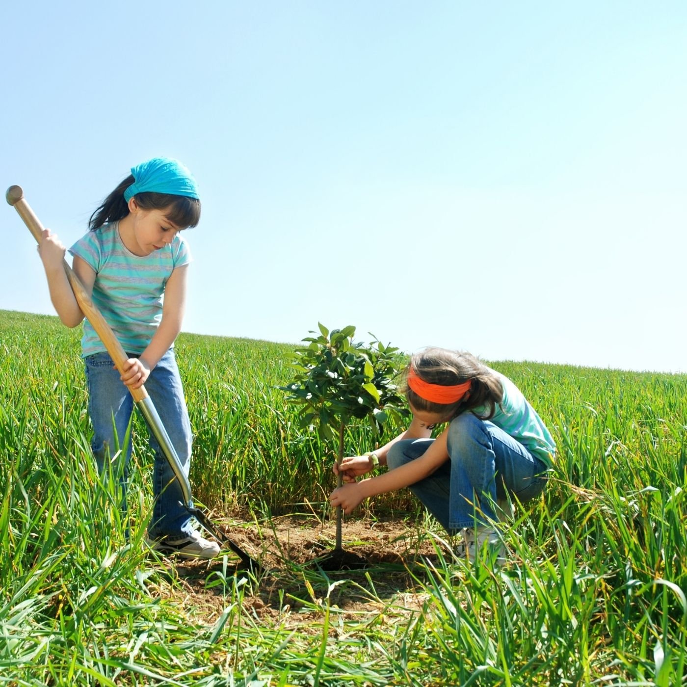 Agronegócio de Baixo Carbono: Estratégias para Reduzir a Pegada de Carbono nas Pequenas Propriedades Rurais