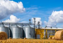 Como está sendo a Evolução da Lida no Campo nos Últimos 100 Anos?