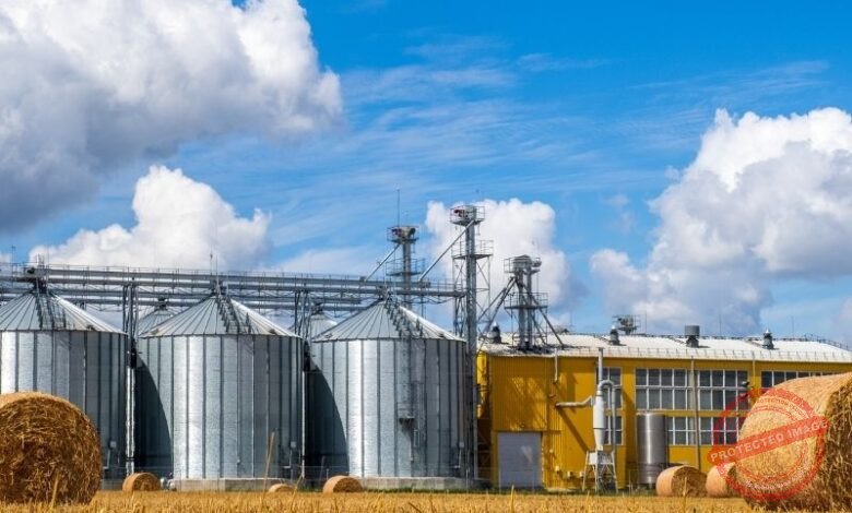 Como está sendo a Evolução da Lida no Campo nos Últimos 100 Anos?