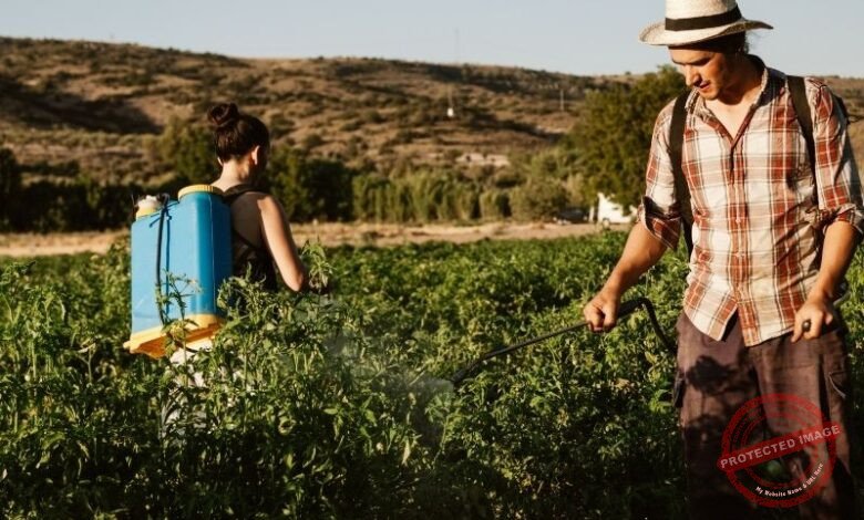Adubos e Fertilizantes: é hora de aprender mais