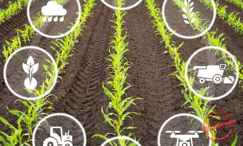 Entenda Como Funcionam as Cercas Inteligentes no Agro