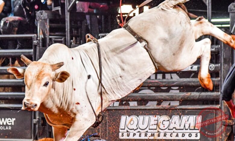 festa do pe o de barretos a maior celebra o da cultura sertaneja e do rodeio na am rica latina PsGsKpXRNxU