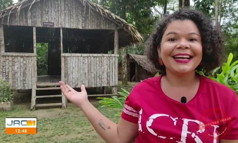 seringais do acre hist ria rotina e import ncia na economia e sustentabilidade 9ZngBslgr k