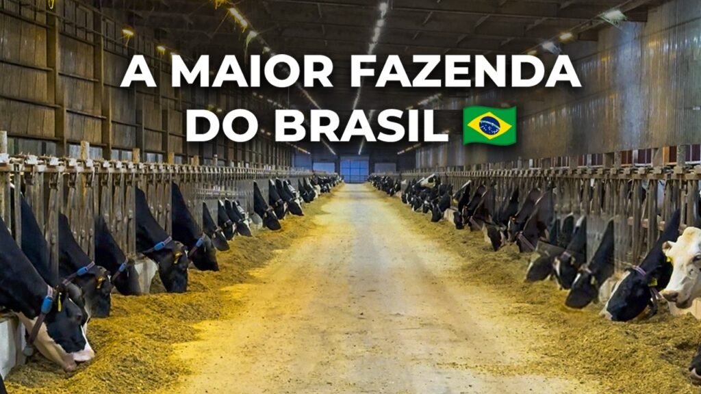 10 Municípios Brasileiros Maiores Produtores de Gado de Leite
