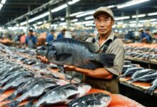 Como vender seu peixe diretamente ao consumidor final: guia prático e legal