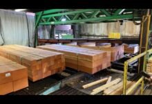 10 Municípios Brasileiros com as Maiores Indústrias Madeireiras 14 10 munic pios brasileiros com as maiores ind strias madeireiras ETnI lbbWDk