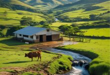 Comércio e Serviços Agrícolas em Rio Verde GO
