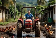 Cooperativas de Crédito Rural: Vantagens e Oportunidades 14 Cooperativas de Crédito Rural: Vantagens e Oportunidades