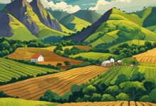 Comércio e Serviços Agrícolas em Santa Helena de Goiás GO