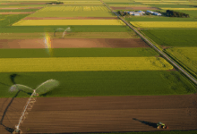 Transformação Digital no Agro: Como Pequenos Produtores Estão se Adaptando às Novas Tecnologias