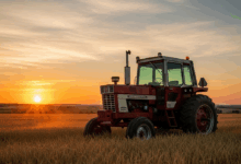 Agronegócio AZ: Resumo Principais Notícias Semana 11 à 15 Ago 2025