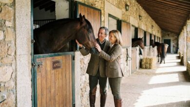 Do Hobby ao Lucro: A Matemática do Haras e Pensionato