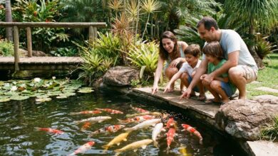 Peixes Ornamentais: A "Pecuária" de Maior Valor Agregado