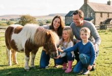 Pôneis e Mini-Horses: O Gigante Mercado dos Pequenos Equinos