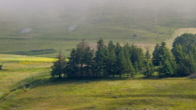 Guias Locais do Agronegócio na Região Sul do Brasil