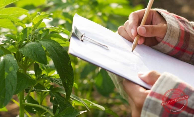 10 Melhores Agropecuárias em Nova Mutum MT