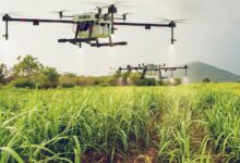 Guias Locais do Agronegócio no Mato Grosso