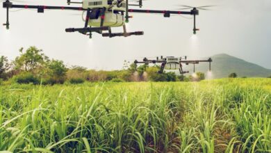 Guias Locais do Agronegócio no Mato Grosso
