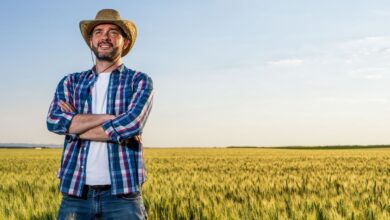 Guias Locais do Agronegócio na Região Centro-Oeste do Brasil