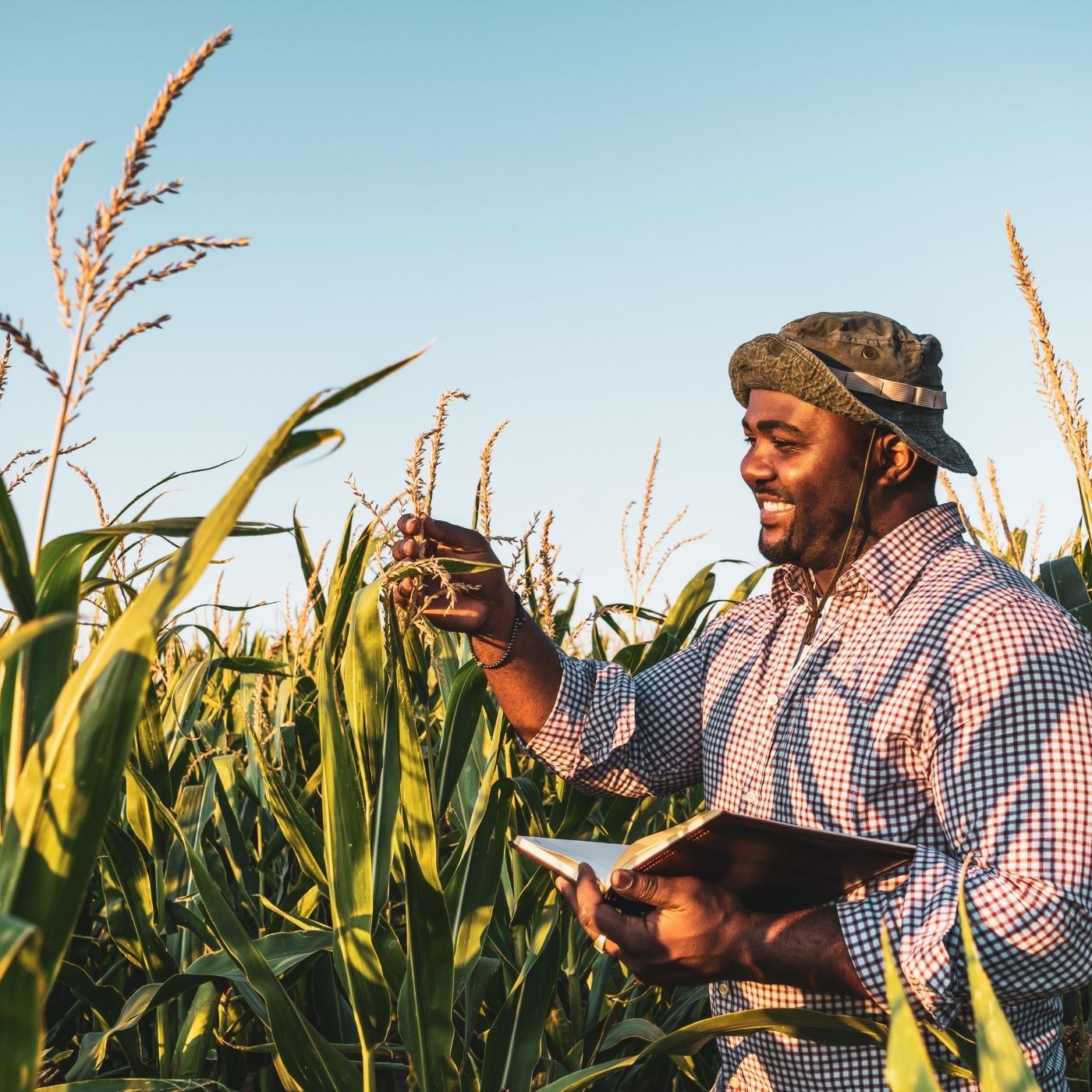 Guias Locais do Agronegócio na Região Nordeste do Brasil