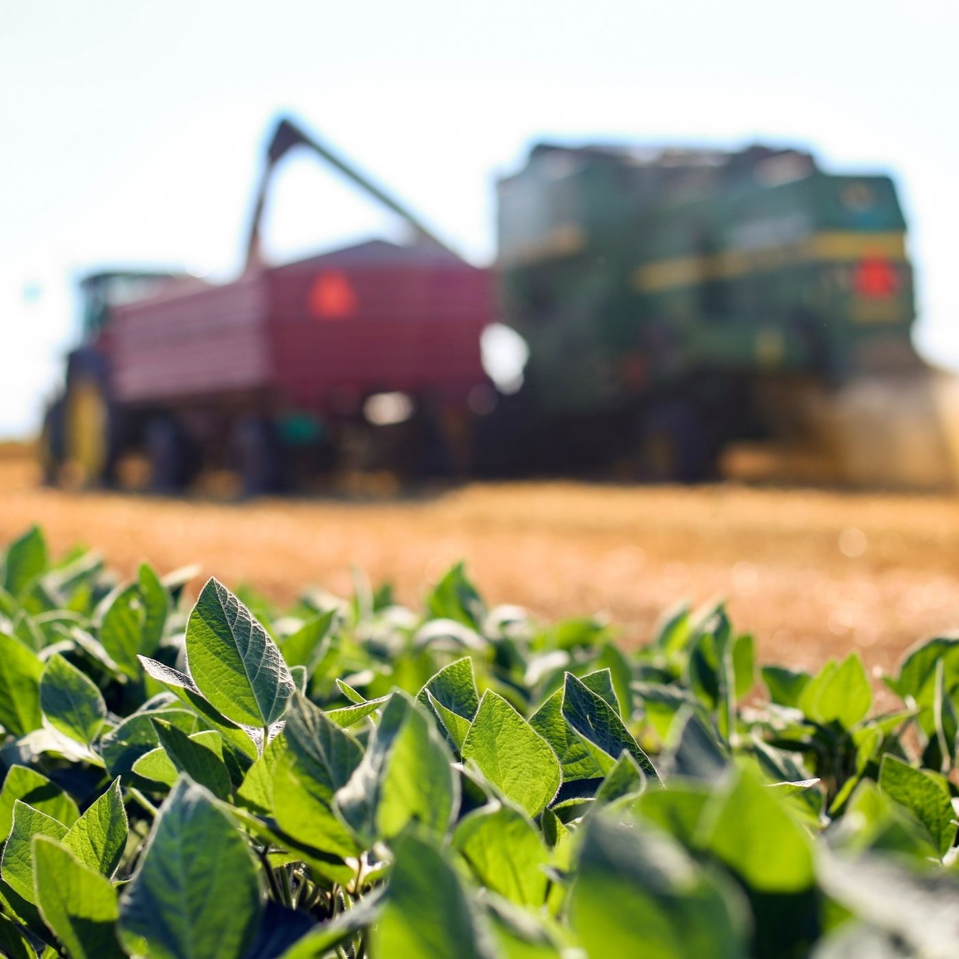 Cidades do Agronegócio no Mato Grosso
