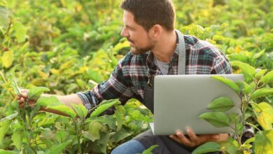 10 Melhores Agropecuárias em Lucas do Rio Verde MT