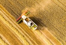 10 Melhores Agropecuárias em Sinop MT