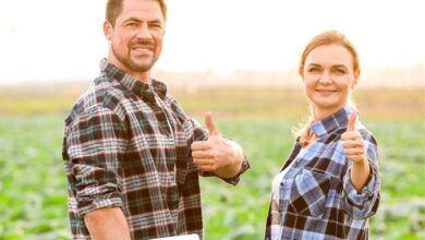 10 Maiores Multinacionais e Grandes Empresas do Agronegócio em Santa Maria e Região