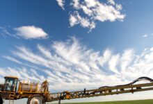 10 Maiores Multinacionais e Grandes Empresas do Agronegócio em Rio Grande e Região