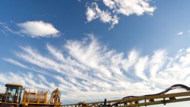 10 Maiores Multinacionais e Grandes Empresas do Agronegócio em Rio Grande e Região