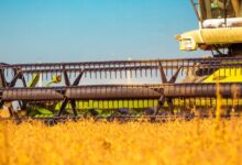 10 Maiores Multinacionais e Grandes Empresas do Agronegócio em Novo Hamburgo e Região