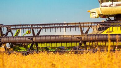 10 Maiores Multinacionais e Grandes Empresas do Agronegócio em Novo Hamburgo e Região