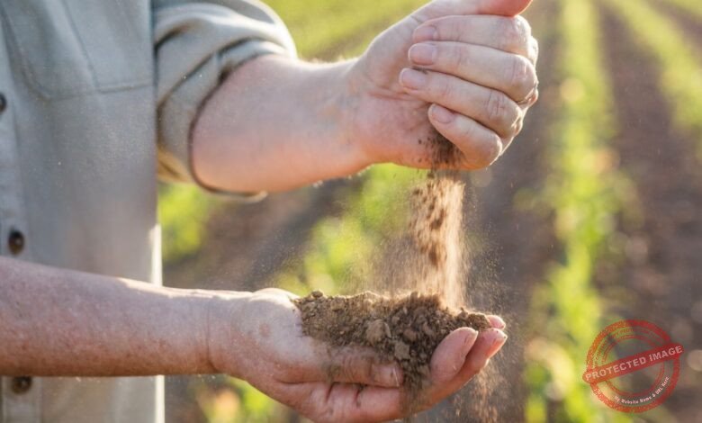 10 Maiores Multinacionais e Grandes Empresas do Agronegócio em Pelotas e Região
