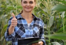 10 Maiores Multinacionais e Grandes Empresas do Agronegócio em Passo Fundo e Região