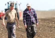 10 Maiores Multinacionais e Grandes Empresas do Agronegócio em Caxias do Sul e Região