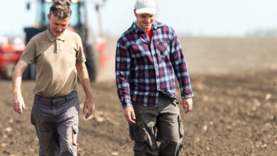 10 Maiores Multinacionais e Grandes Empresas do Agronegócio em Caxias do Sul e Região