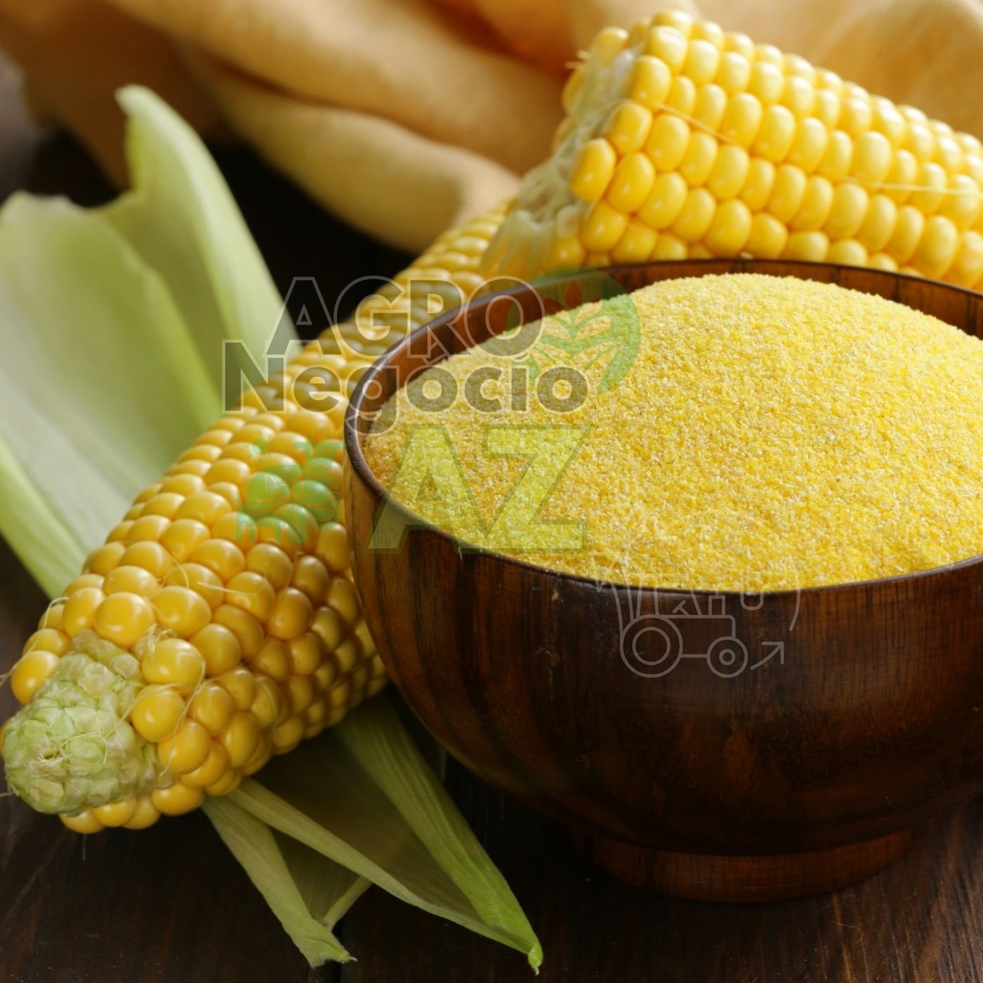 Agricultura de Ultraprecisão