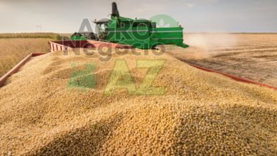 0b481a90835042d185b4d2bc95f49df9