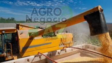 5d688e1430934f4e8c3c224b67719fde