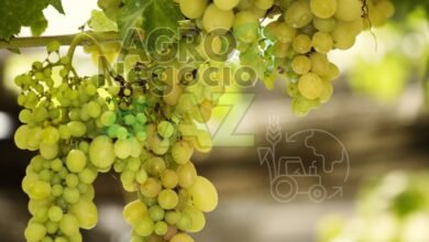 6746ec2a3c4b4af4b68e4ff0c35283b8