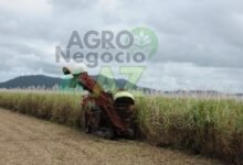 69ba5de0fa7f49c4919f6c04b51b6364