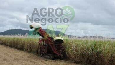 69ba5de0fa7f49c4919f6c04b51b6364