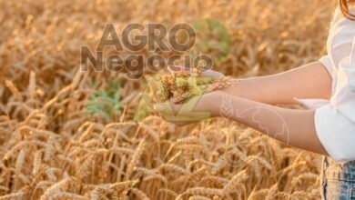 6b78ee416164470c8e8a1ab3f16bb06e