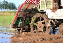 6de9c632b9ac4e8187acf10bf7c25510